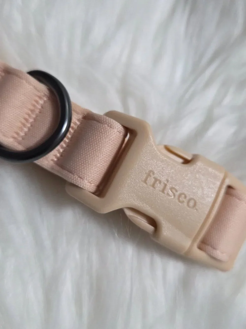 Frisco Monochromatic Pale Pink Dog Collar